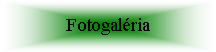 Textové pole: Fotogaléria